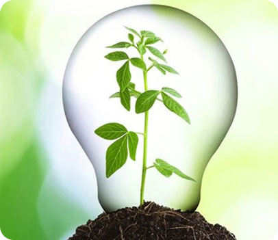 light bulb with a plant inside to represent green energy